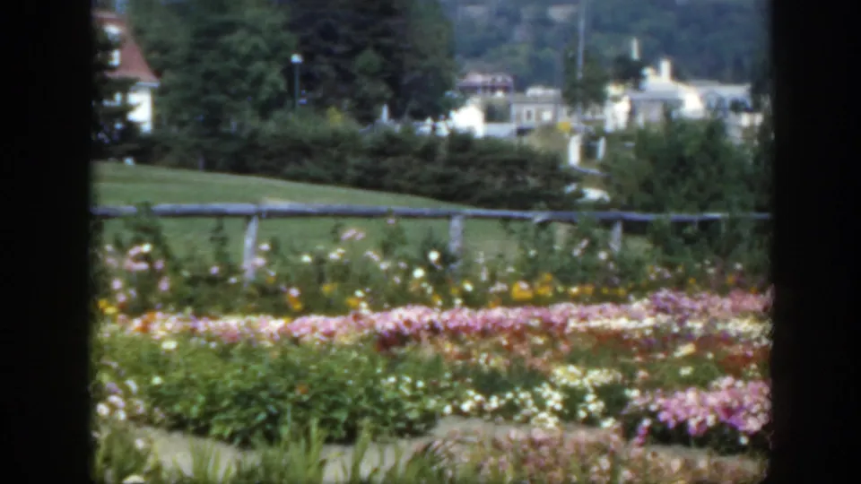 1950 Montreal home-movie view across flower beds and a fence toward distant buildings and wooded hillside.