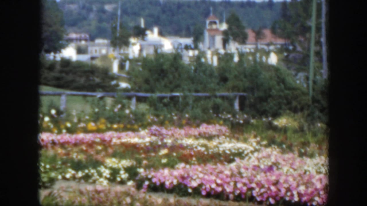 Garden flowers and shrubs with distant pale buildings and a small tower beyond a fence.