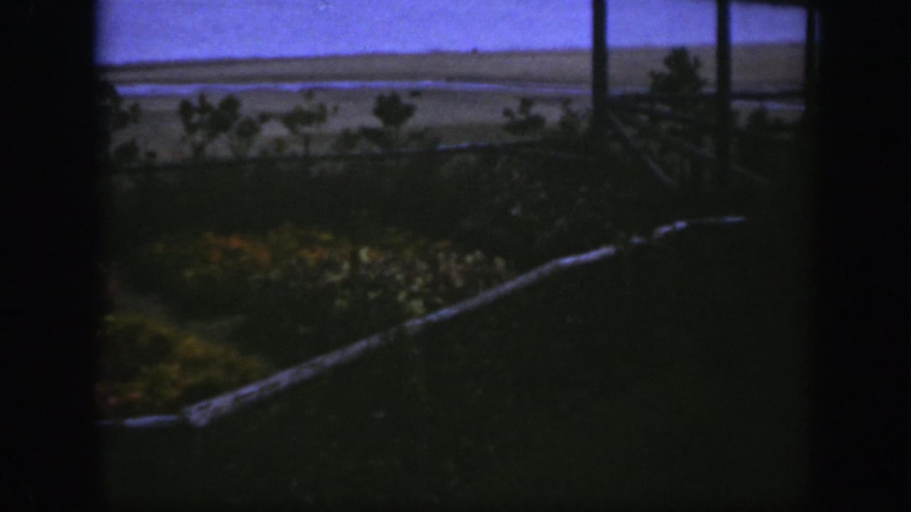 Dark 8mm frame showing flower beds, lawn, shrubs, and distant open land beyond a garden.