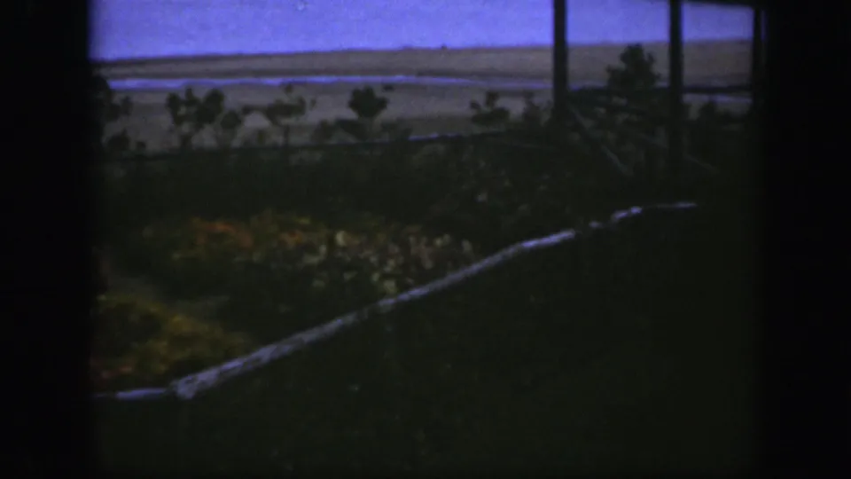 1950 Montreal home-movie frame with a shadowed backyard garden, low pale border, shrubs, and distant flat landscape.