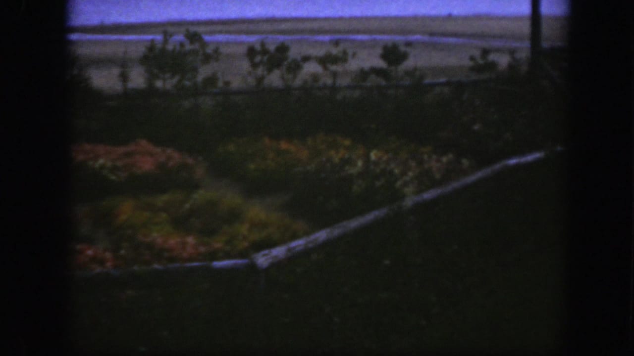 1950 Montreal backyard scene with dark exposure, planted flower beds, shrubs, trees, and a flat horizon beyond the yard.