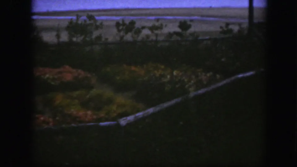 1950 Montreal backyard scene with dark exposure, planted flower beds, shrubs, trees, and a flat horizon beyond the yard.