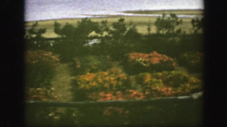 1950 Montreal garden frame showing a planted backyard, possible narrow path, shrubs, small trees, and flat land past the yard.