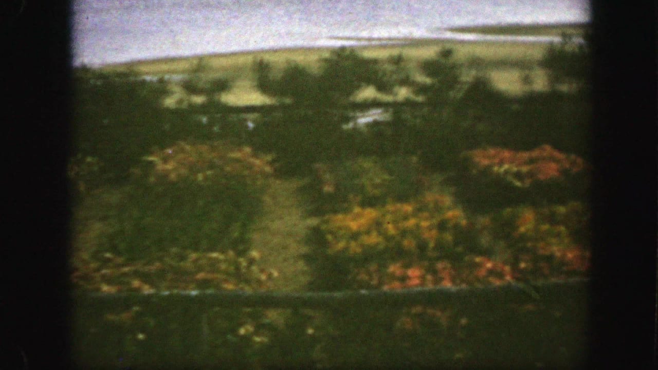 1950 Montreal home-movie frame showing flowering beds, shrubs, trees, and distant open ground under a pale sky.