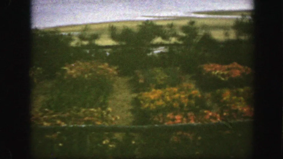 1950 Montreal home-movie frame showing flowering beds, shrubs, trees, and distant open ground under a pale sky.
