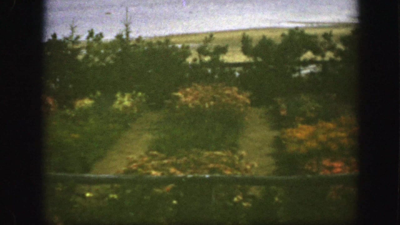 1950 Montreal 8mm frame with a garden path, dense shrubs, orange flowers, trees, and open ground beyond.