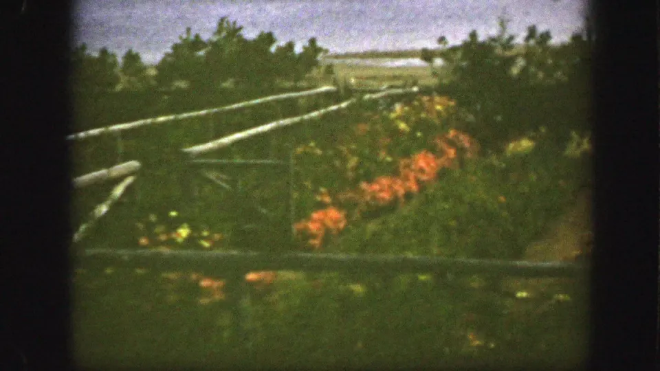 1950 Montreal 8mm frame of a wooded garden with rail fencing, orange flowers, shrubs, and distant open land.