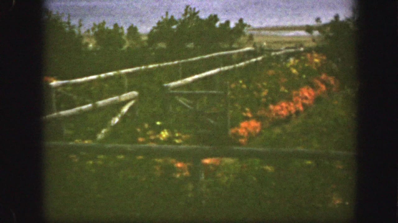 1950s 8mm view near Montreal showing a wooden fence, orange flowers, shrubs, and a distant glimpse of water.