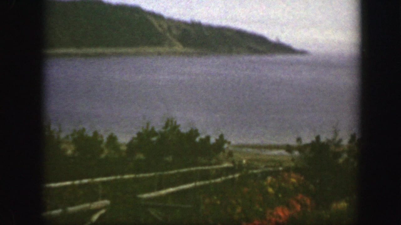 Calm water and wooded hillside seen beyond shrubs and a fence.