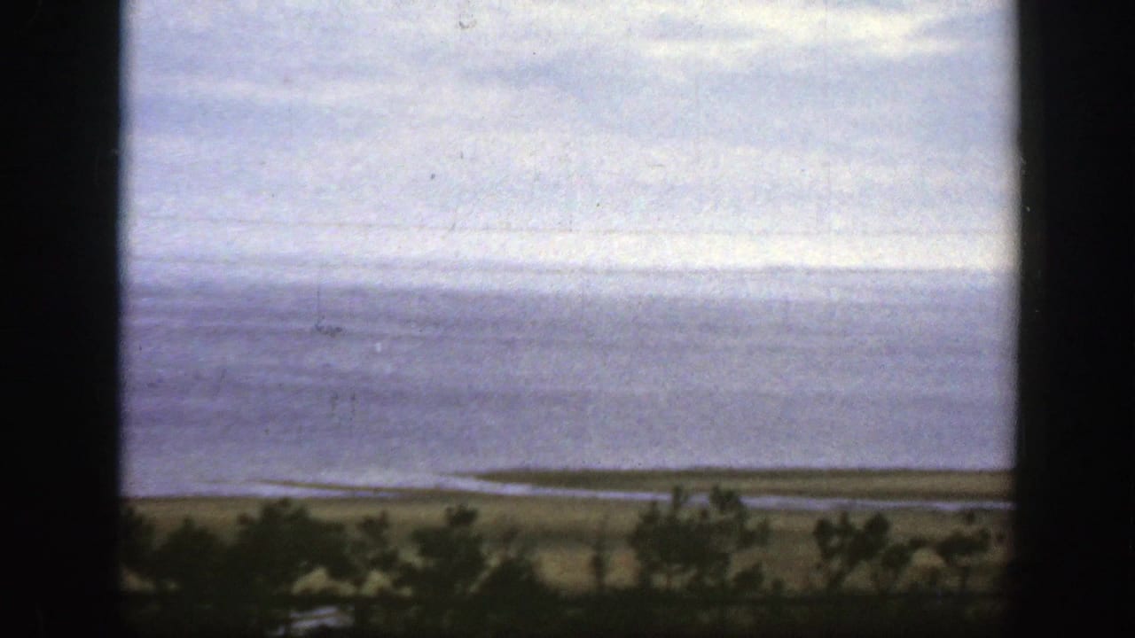 Wide water view with cloudy sky, low shore, foreground vegetation, and a dark central border.