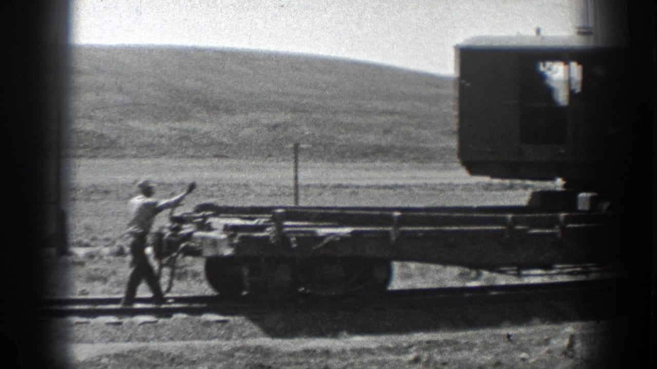 Worker stands beside a flat railway car on rural tracks with hills behind.