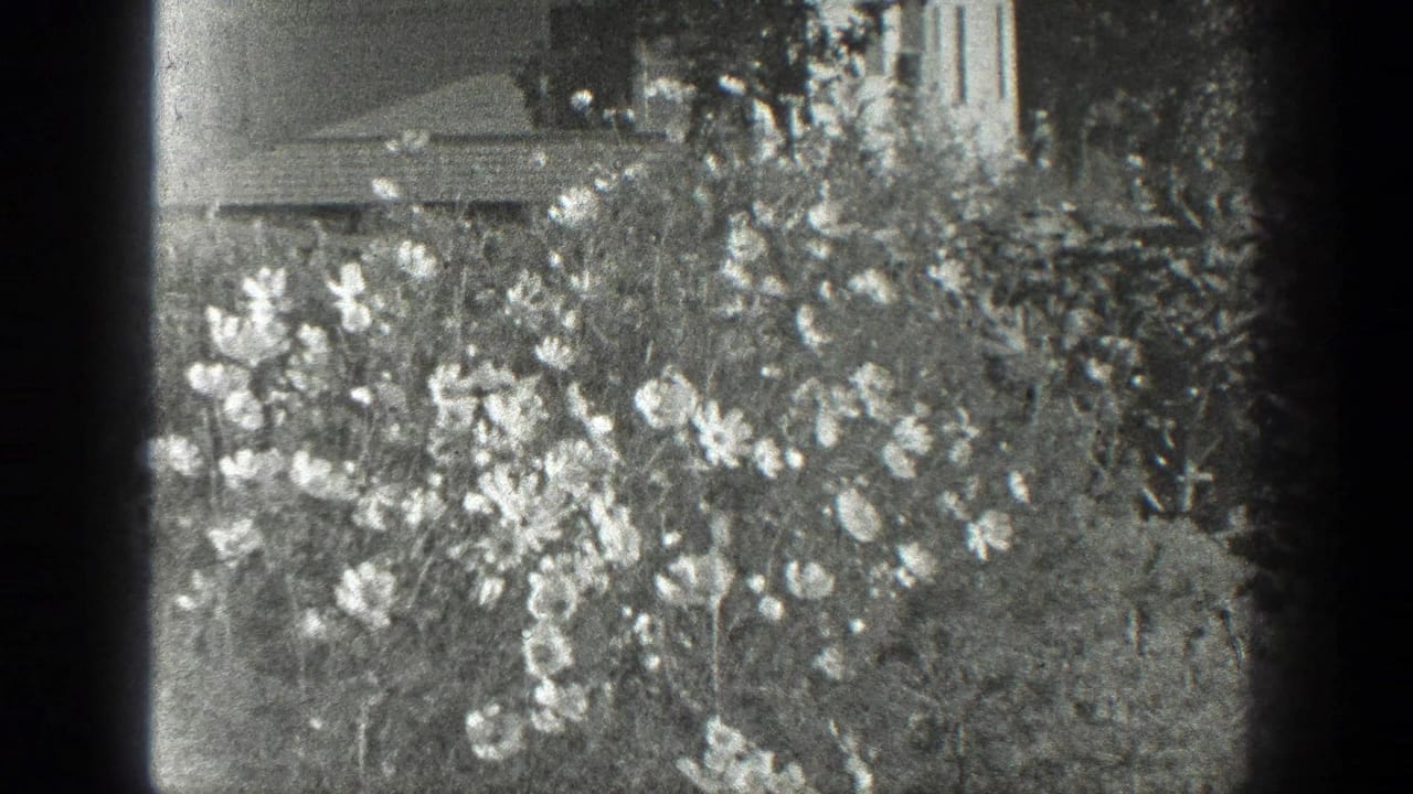 Dense flowering plants with foliage and a partial building in the background.