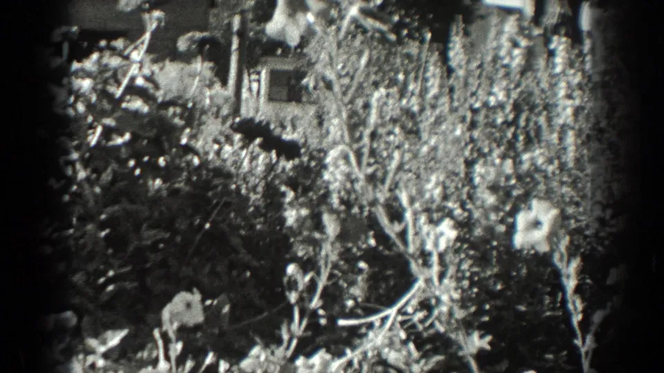 Black-and-white home-movie view of pale garden blossoms and tangled foliage, with a small structure-like shape partly obscured in back.