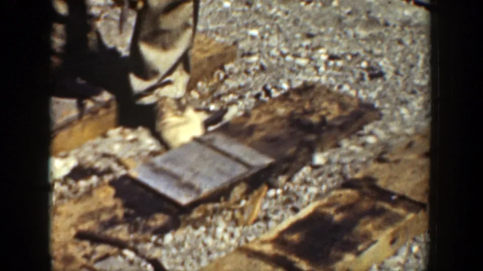 Close 8mm view of the rail bed shows gravel, timber ties, tools, and a worker partly visible during track maintenance.