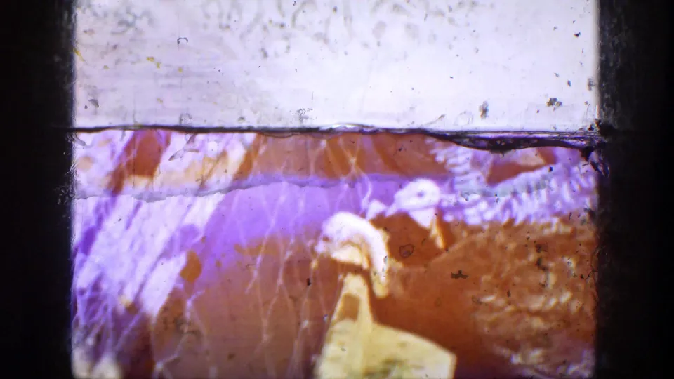 Faded color 8mm footage shows turkeys behind wire mesh near a feeder, with strong staining and frame wear visible.