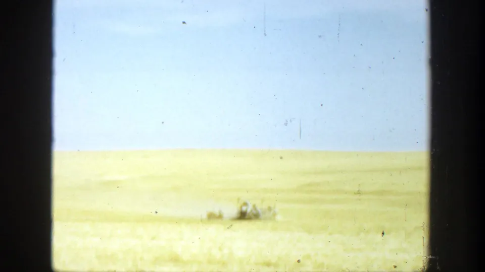 A wide California field appears under a pale sky, with a small distant tractor or field vehicle near the horizon.