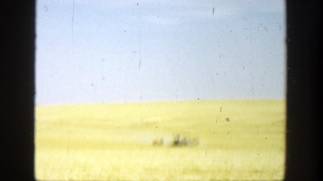 Wide golden field under pale blue sky with distant blurred people near the horizon.
