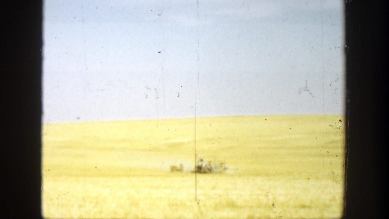 Distant small group in a yellow field beneath a clear sky, framed by black film edges.