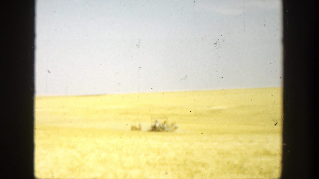 Golden field under a pale sky with distant farm equipment near the horizon.