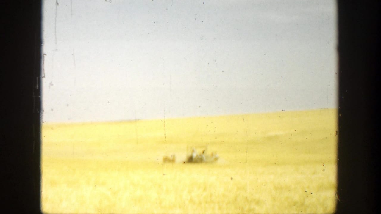 Golden field and pale sky with a small distant vehicle or equipment cluster.