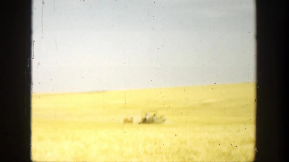 1936 California rural frame with a distant farm vehicle or equipment cluster crossing a golden field beneath a pale sky.