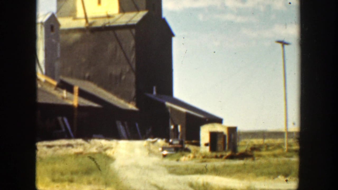 Grain elevator buildings with a dirt path and utility pole in front.