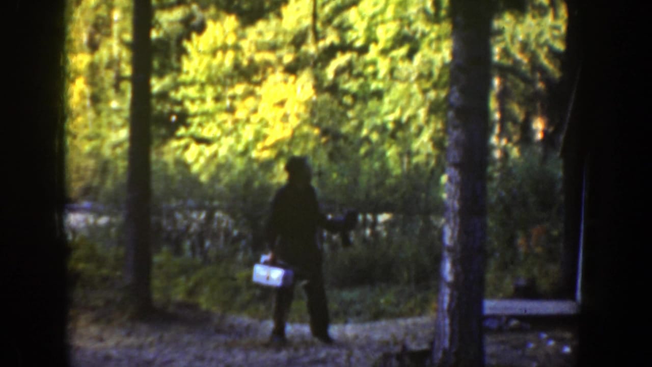 Fisherman stands among trees with a tackle box near bright foliage.