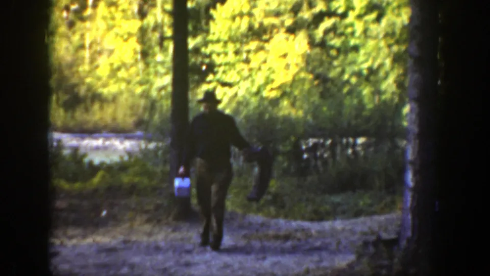 The fisherman walks away through the California woods, carrying a tackle box and pole beneath tall trees and bright foliage.
