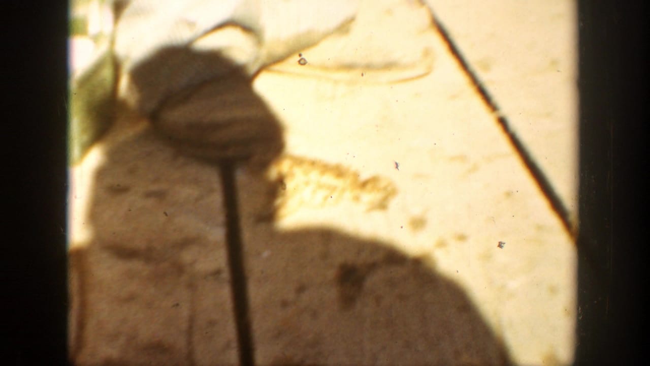Close view of a shadow and thin handle on a sunlit wooden surface.