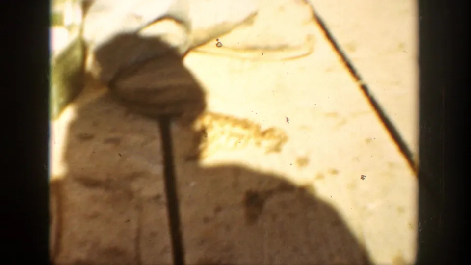 Close 8mm frame showing a dark shadow, a thin handle or strap, and warm sunlight across a wooden surface.