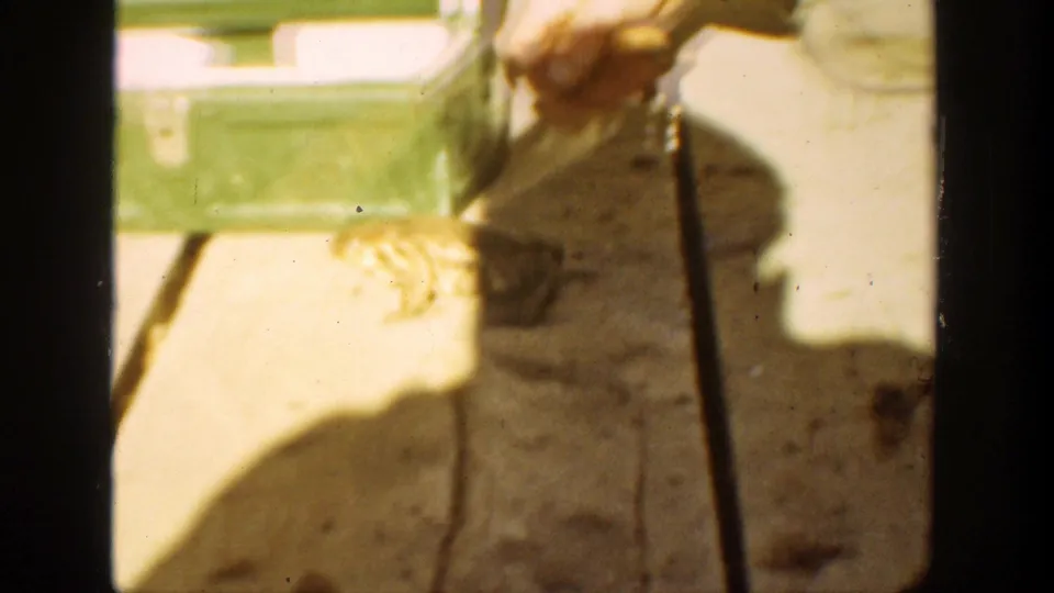 A sunlit wooden surface holds a broad human-like shadow, a thin vertical strap or handle, and part of a pale container or case.