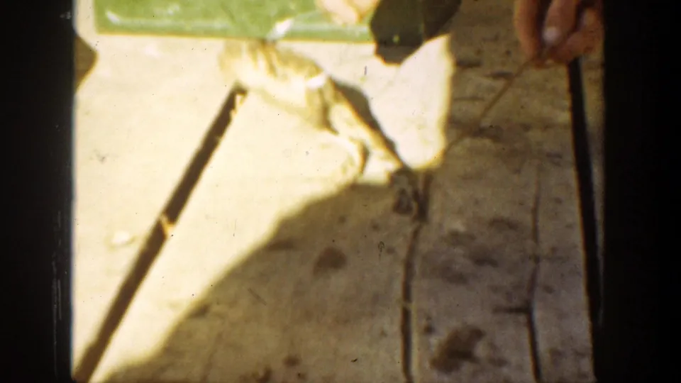 1936 California home-movie frame with a toad being moved near tongs on sunlit boards.