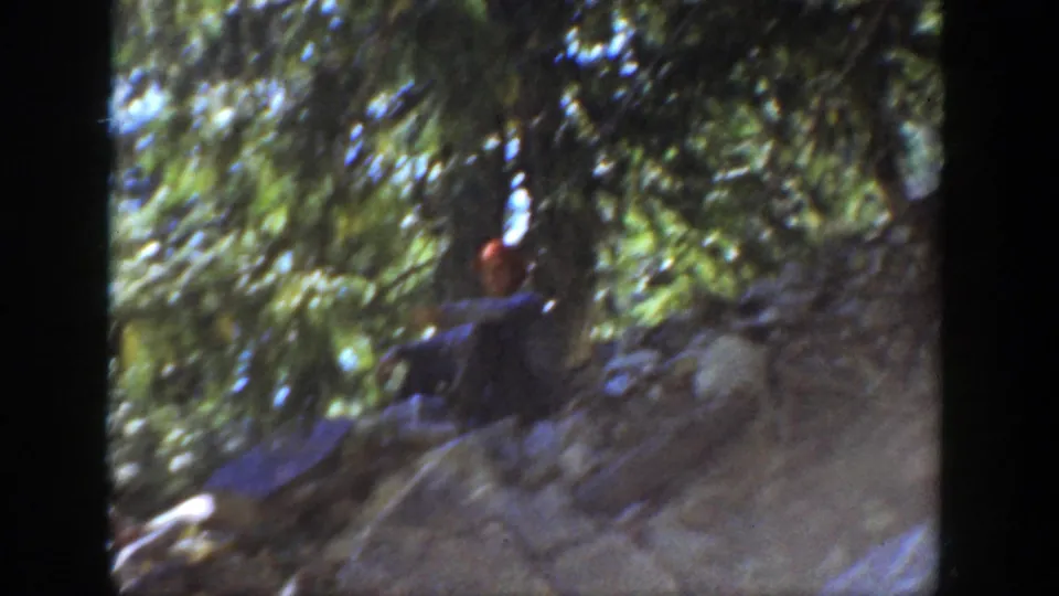 1936 California 8mm frame showing a person among rocks and trees near the canyon, partly obscured by shade and motion blur.