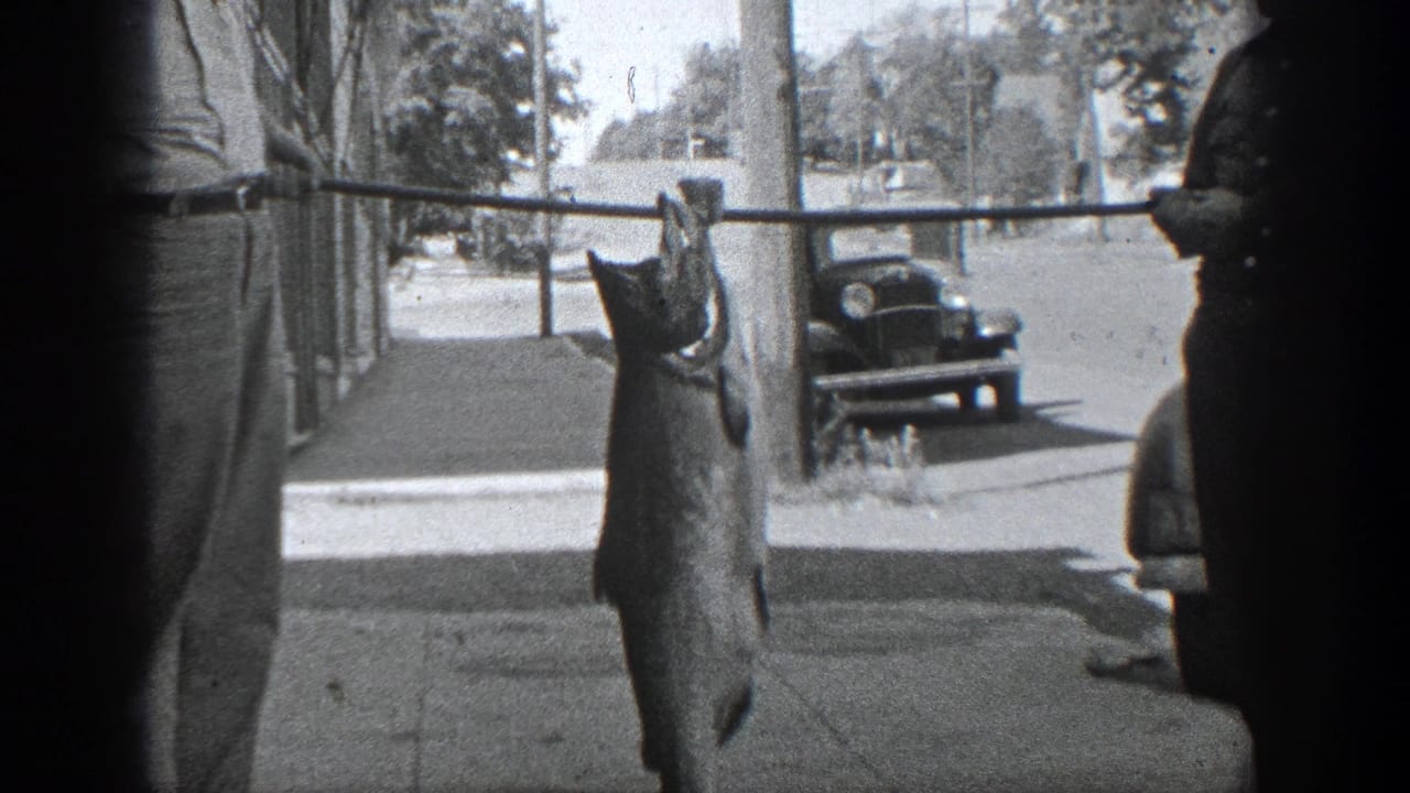 A large fish hangs from a pole on a sidewalk near parked cars and a quiet street.