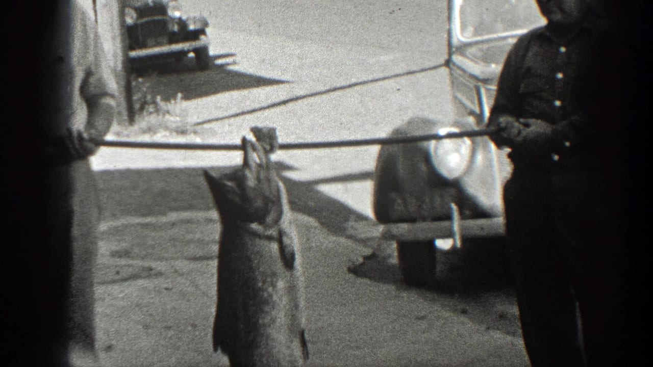 A large fish hangs from a pole between two partly visible men near parked cars.