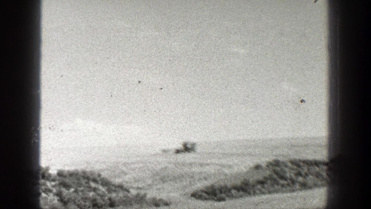 1936 California home-movie frame with a distant mule team and wagon moving through an open, sunlit landscape.