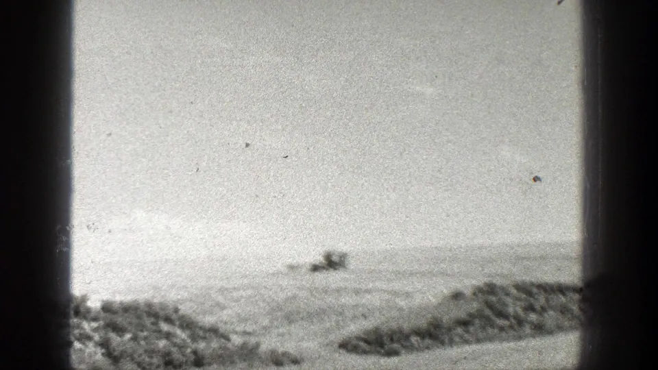 1936 California home-movie frame with a distant mule team and wagon moving through an open, sunlit landscape.