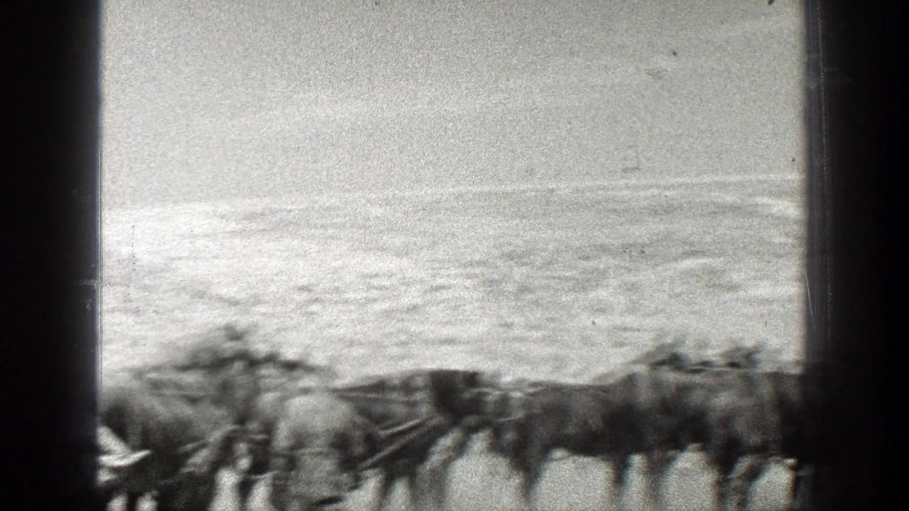 Closer view of harnessed mules moving beside a wagon in a bright landscape.