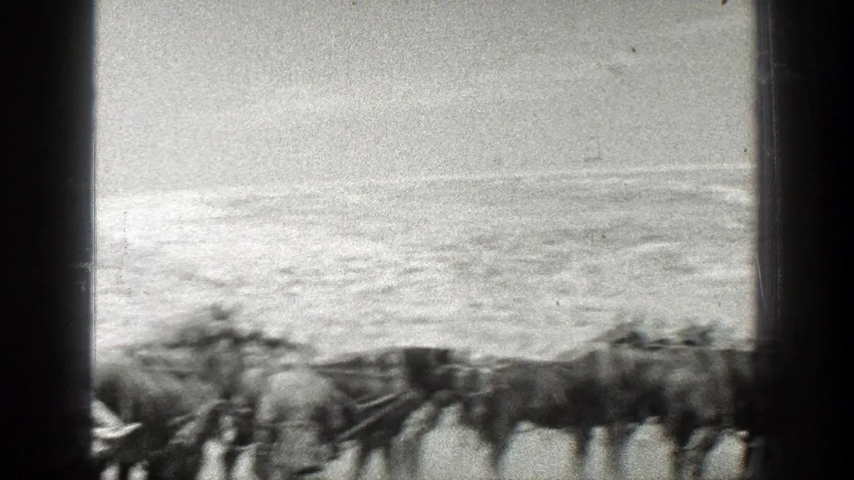 Harnessed mules appear in closer view as the wagon passes through the 1936 California home-movie scene.