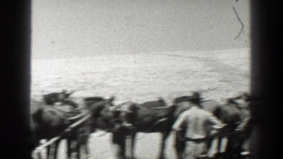 A person in work clothes stands near the mule team in this 1936 California home-movie frame.
