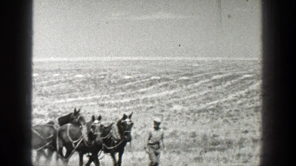 1936 California 8mm frame showing a farmer in a white hat leading harnessed horses across an open field.