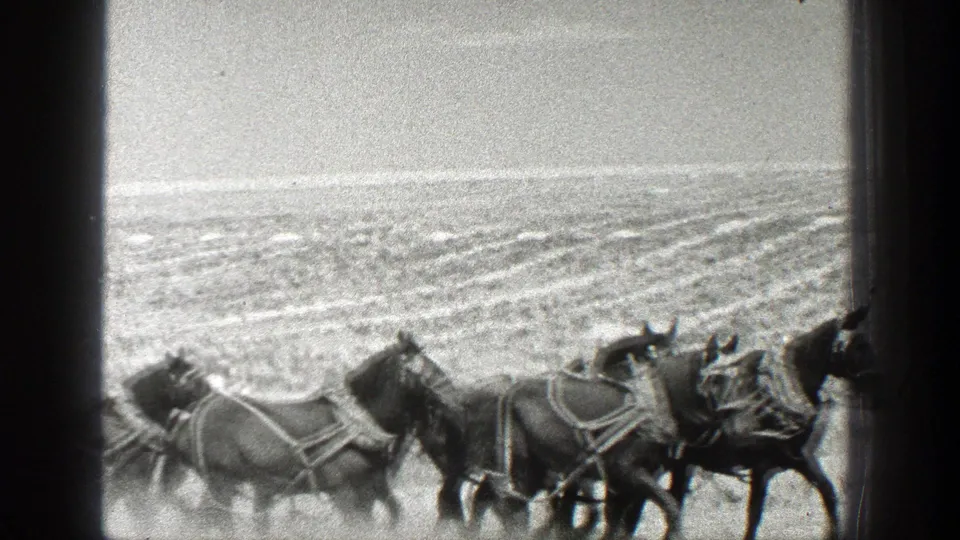 Several harnessed horses fill the frame as they move through dust across a 1936 California farm field.