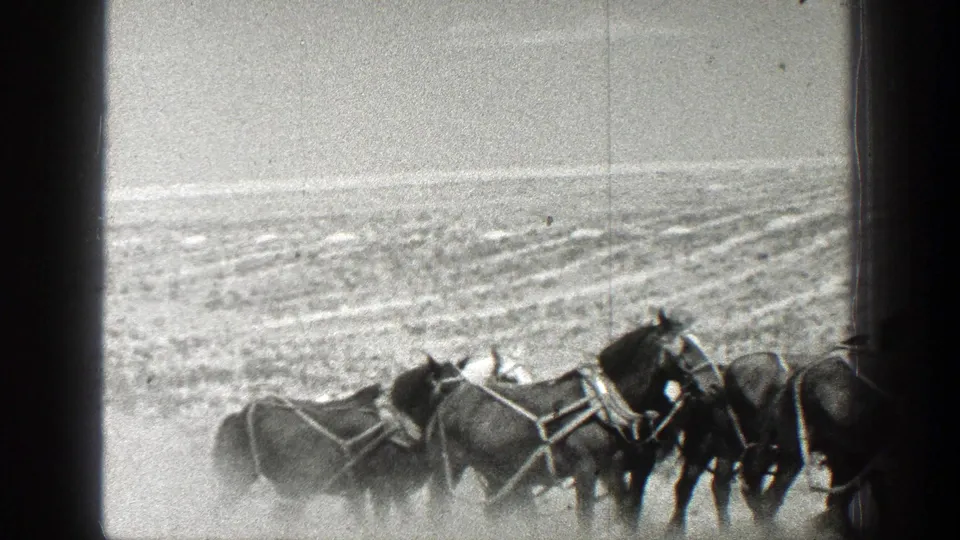 The horse team moves low in frame against a broad California field and pale sky in this 1936 8mm home-movie still.