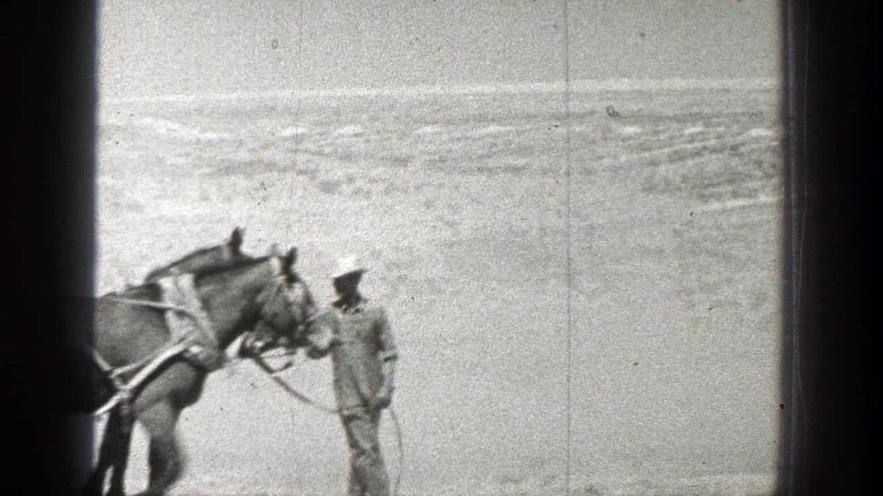 A man in a brimmed hat leads bridled horses across open land.