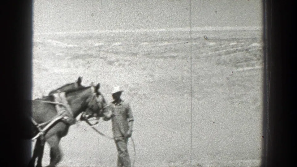 1936 California 8mm frame showing a man in a light hat guiding bridled horses across an arid open landscape.