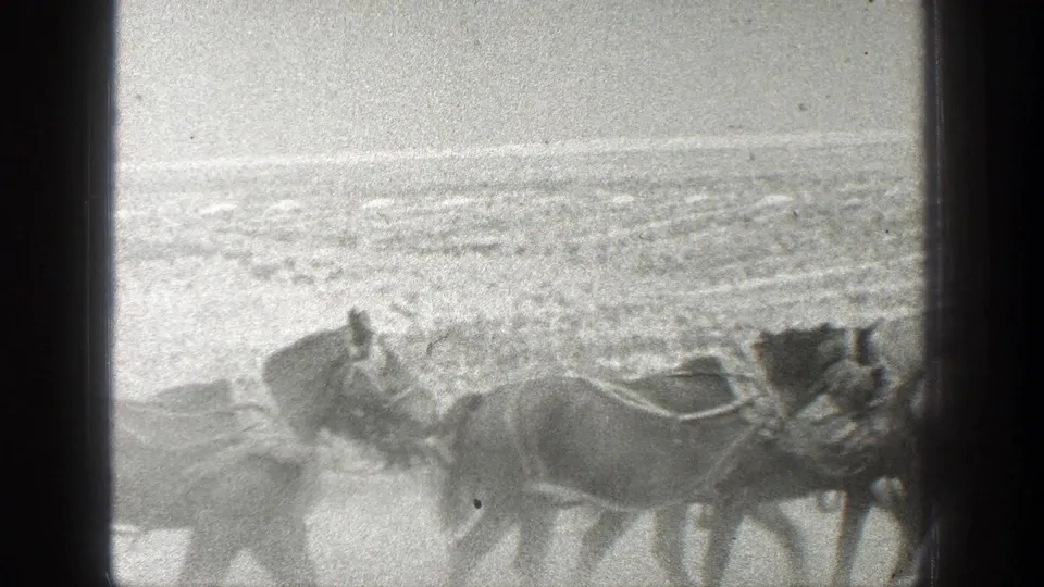 1936 California home-movie frame with a man near a team of bridled horses on open arid ground.