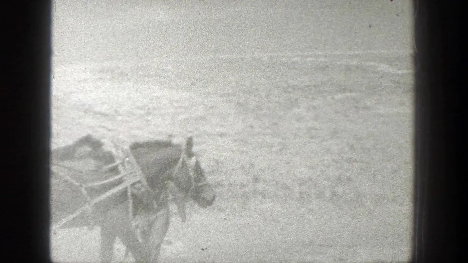 A harnessed horse crosses a washed-out ranch field in grainy black-and-white 8mm footage from California, 1936.