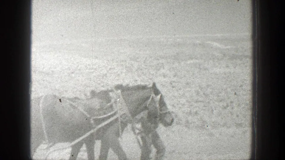 Harnessed horses appear partly obscured by dust and soft focus in a 1936 California ranch home-movie frame.