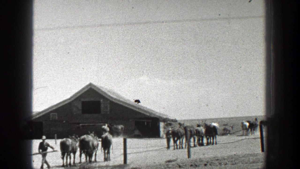 1936 California home-movie frame showing horses, a distant worker, fence posts, and a barn-like structure at the edge of farmland.