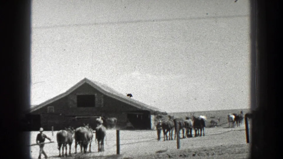 1936 California home-movie frame showing horses, a distant worker, fence posts, and a barn-like structure at the edge of farmland.